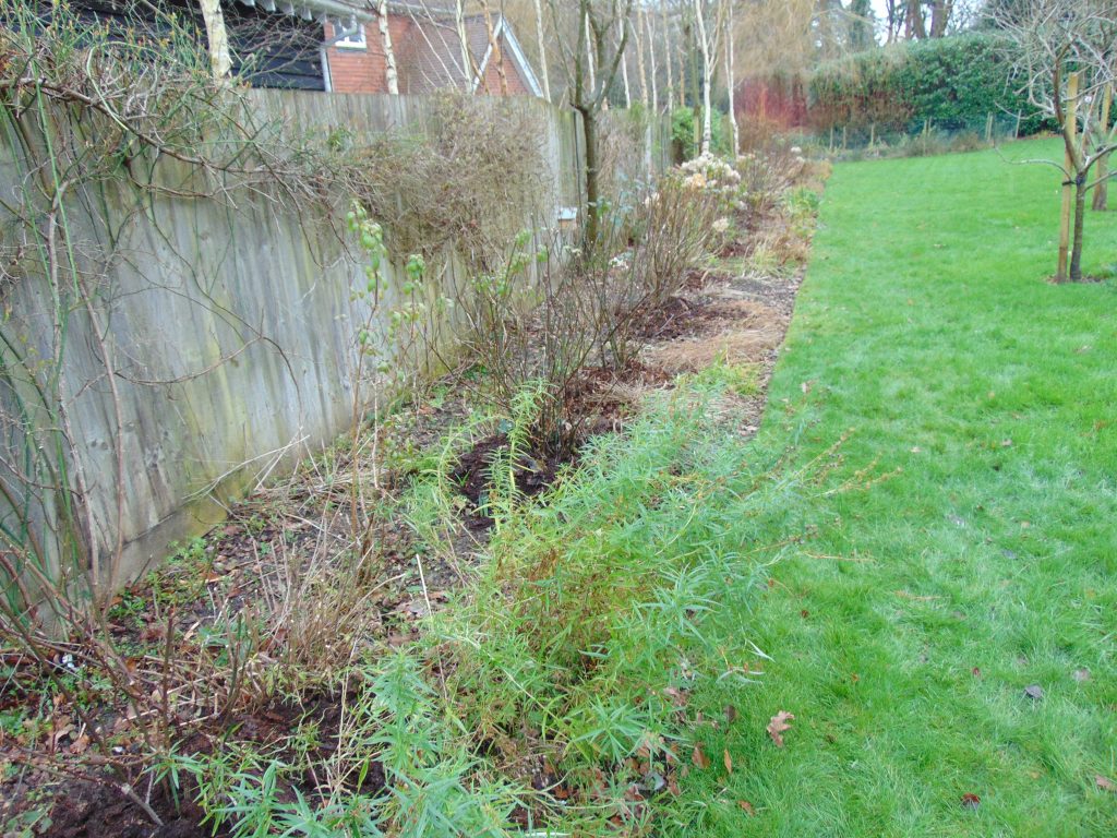 garden maintenance new milton