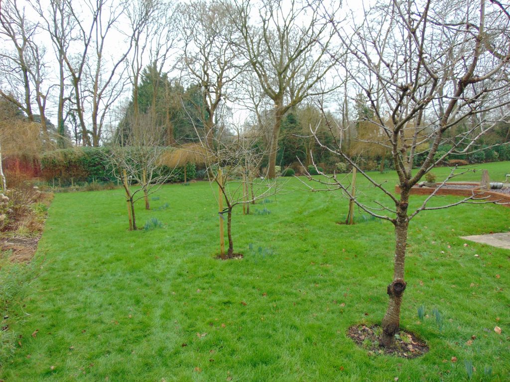 garden maintenance new milton