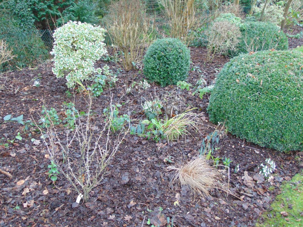 garden maintenance new milton