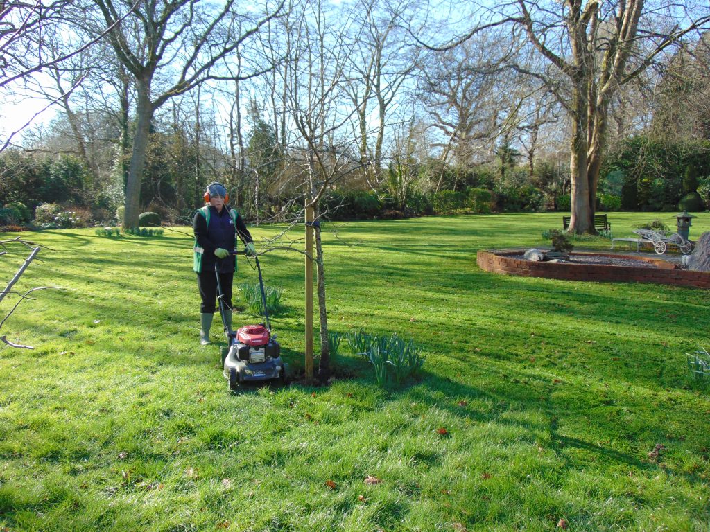 garden maintenance new forest